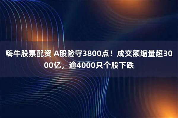 嗨牛股票配资 A股险守3800点！成交额缩量超3000亿，逾4000只个股下跌