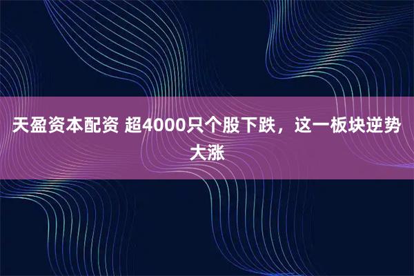 天盈资本配资 超4000只个股下跌，这一板块逆势大涨