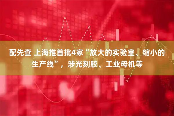 配先查 上海推首批4家“放大的实验室、缩小的生产线”，涉光刻胶、工业母机等